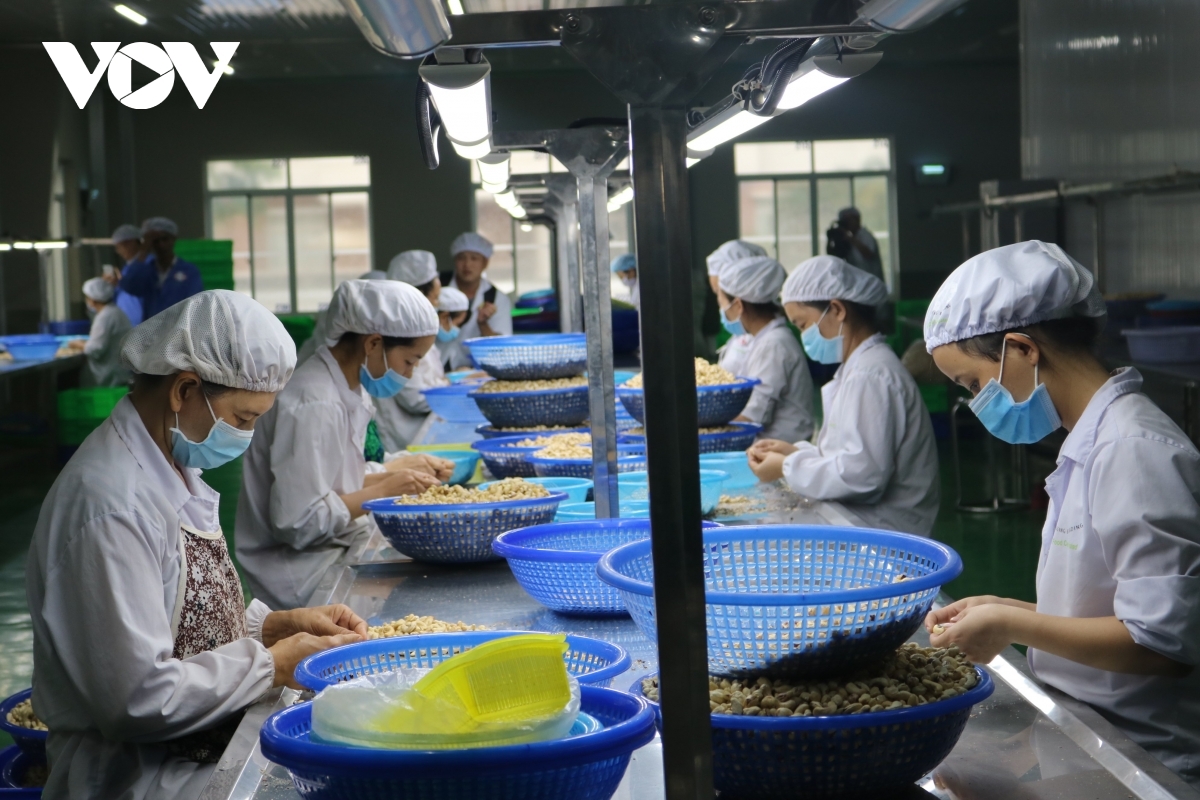 Tháo gỡ khó khăn tạo không gian phát triển mới cho doanh nghiệp