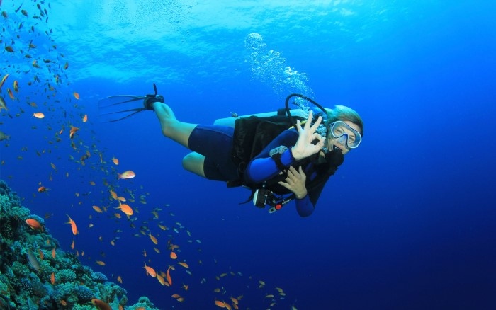 diving in phu quoc fascinates curious visitors picture 2 diving in phu quoc fascinates curious visitors picture 2