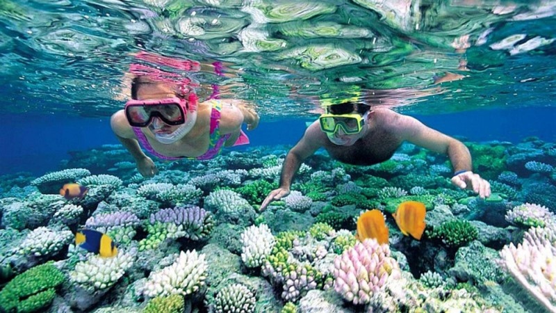 diving in phu quoc fascinates curious visitors picture 5 diving in phu quoc fascinates curious visitors picture 5
