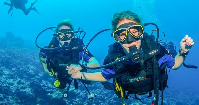 diving in phu quoc fascinates curious visitors picture 7 diving in phu quoc fascinates curious visitors picture 7