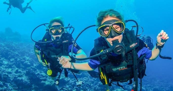 diving in phu quoc fascinates curious visitors picture 7