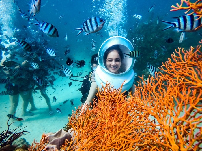 diving in phu quoc fascinates curious visitors picture 8