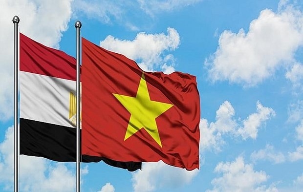egyptian ambassador s article marks 60 years of diplomatic ties with vietnam picture 1