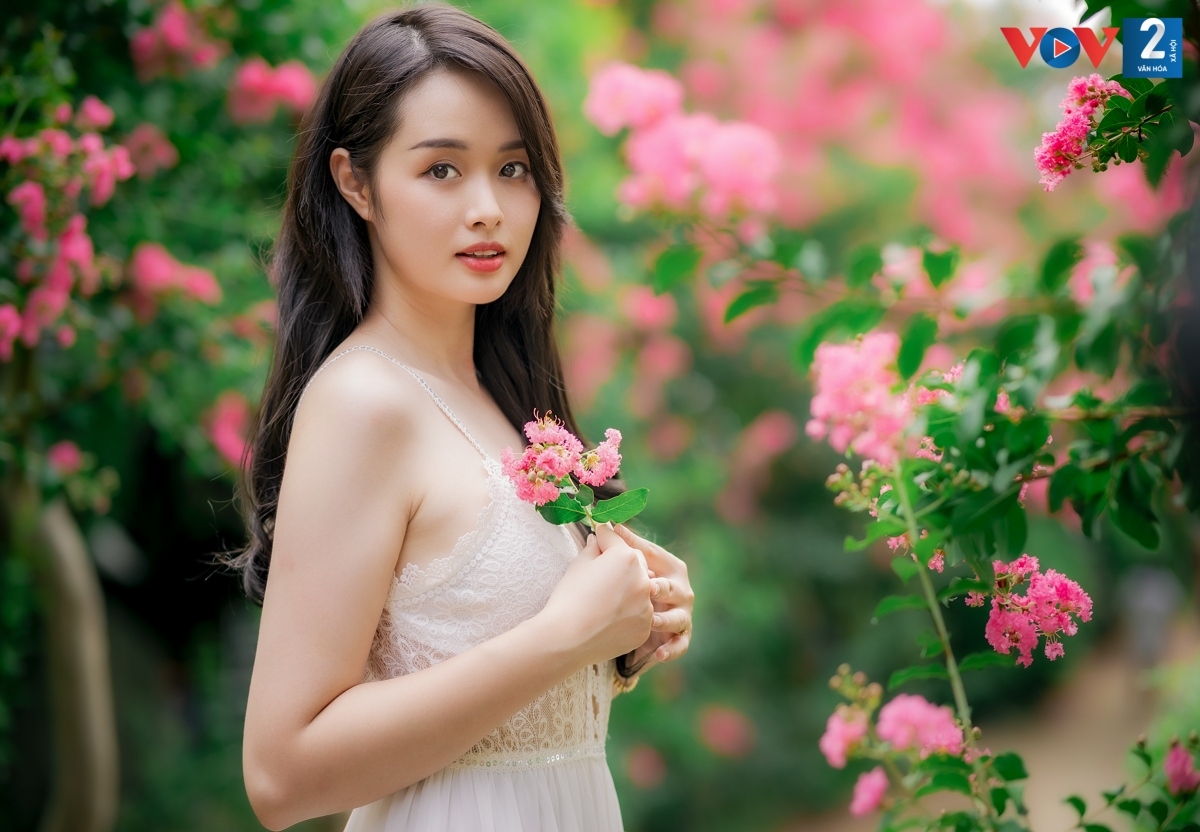 hoa tuong vi khoe sac giua long ha noi hinh anh 15