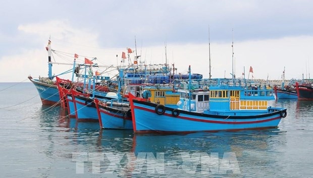 deputy pm requires strict sanction against iuu fishing acts picture 1