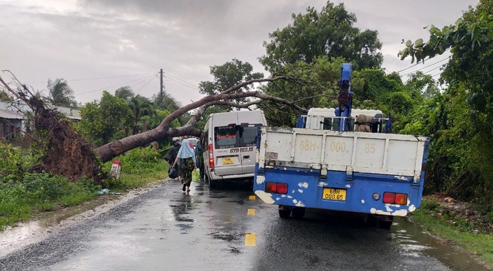 Gió lốc làm cây bật gốc đè bẹp ô tô 16 chỗ