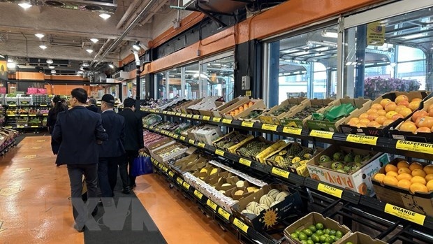 hcm city learns canada s experience in running farm produce trading floor picture 1