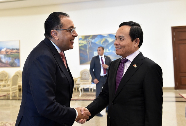 egypt pledges best possible conditions for vietnamese business operations picture 1