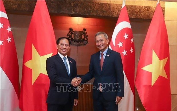 vietnam considered important regional partner of singapore picture 1