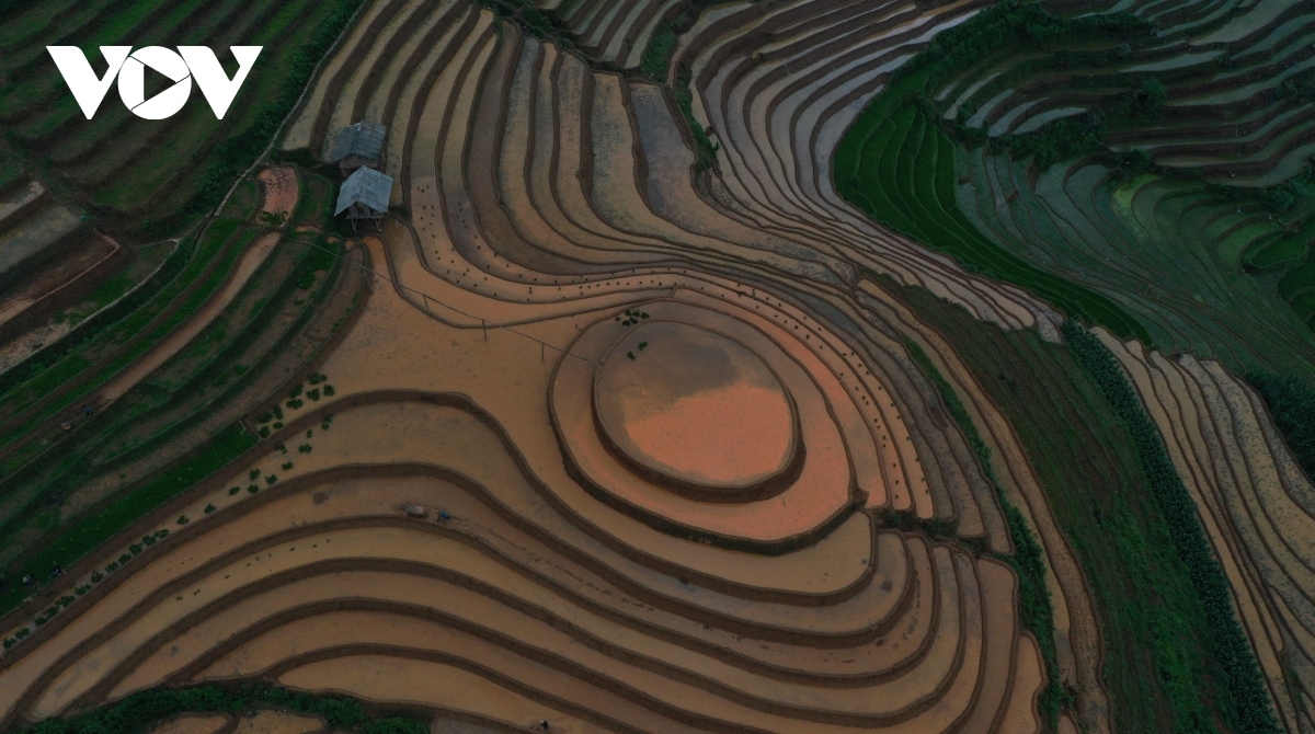 exploring stunning scenery of mu cang chai s terraced fields picture 11