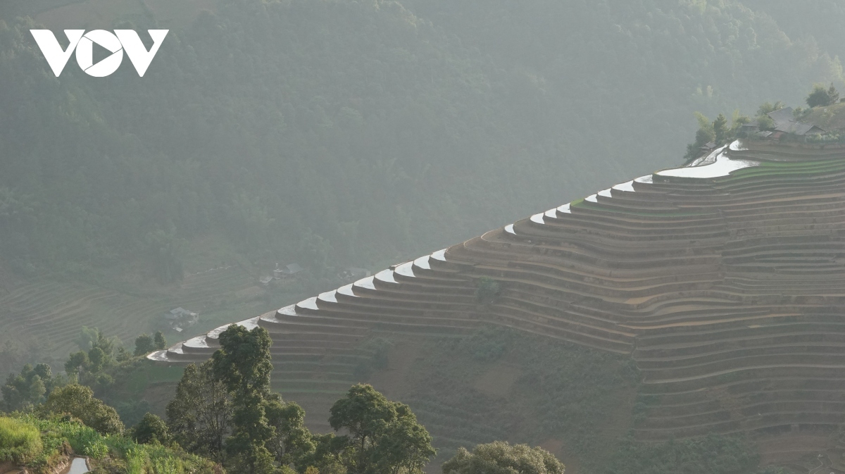 exploring stunning scenery of mu cang chai s terraced fields picture 12