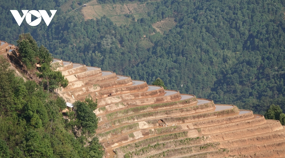 exploring stunning scenery of mu cang chai s terraced fields picture 13