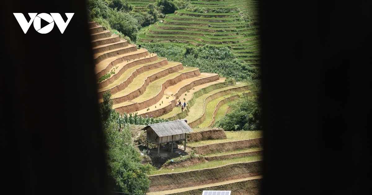 exploring stunning scenery of mu cang chai s terraced fields picture 16