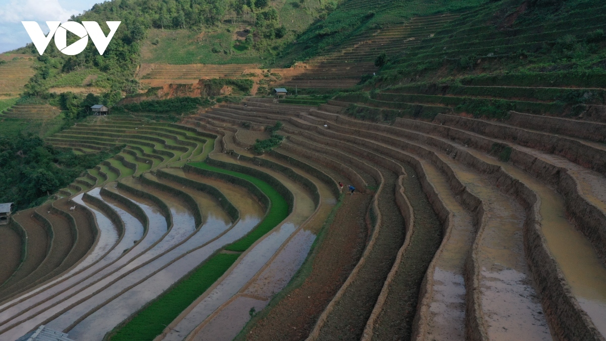 exploring stunning scenery of mu cang chai s terraced fields picture 2