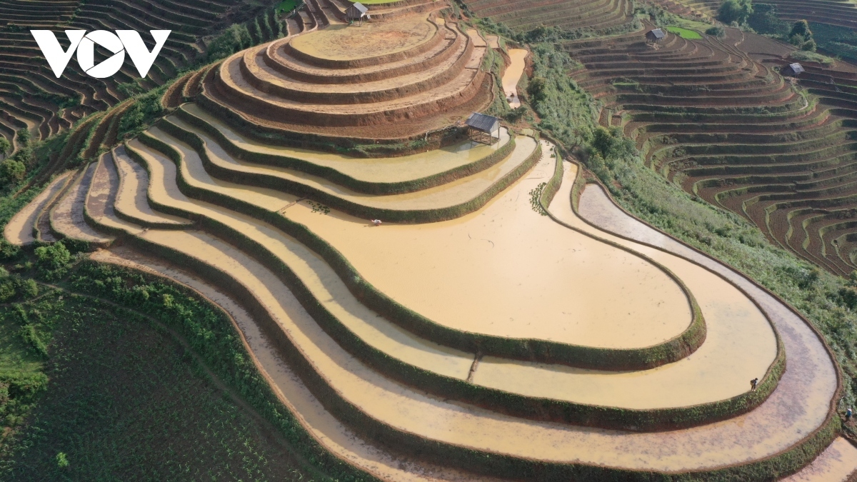 exploring stunning scenery of mu cang chai s terraced fields picture 4