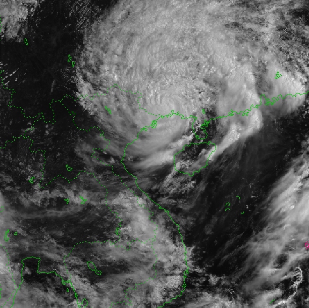 Bão số 1 cách Móng Cái 55km, giật cấp 12