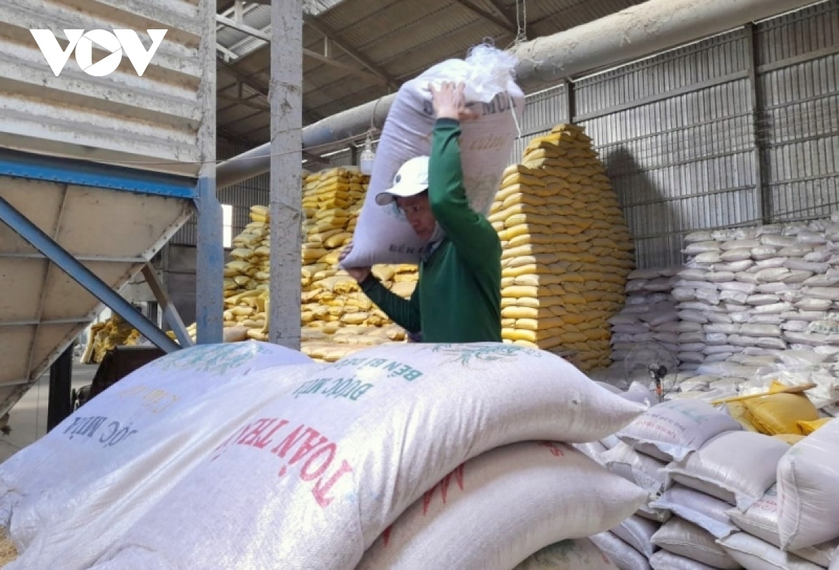 vietnam to balance rice export to ensure food security amid global rice shortage picture 1
