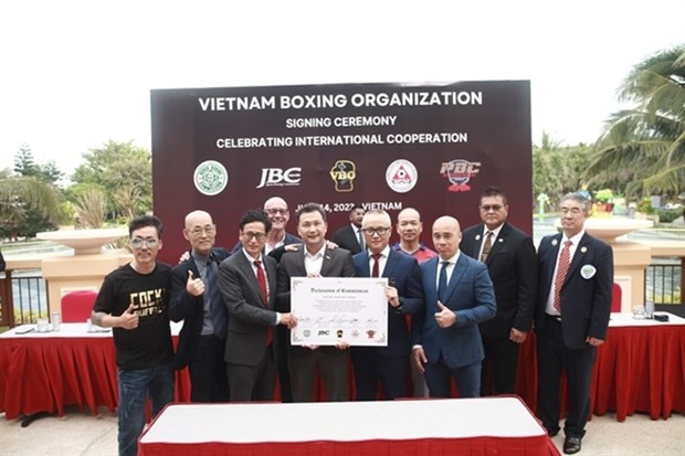 vietnam boxing organisation established to push boxing picture 1