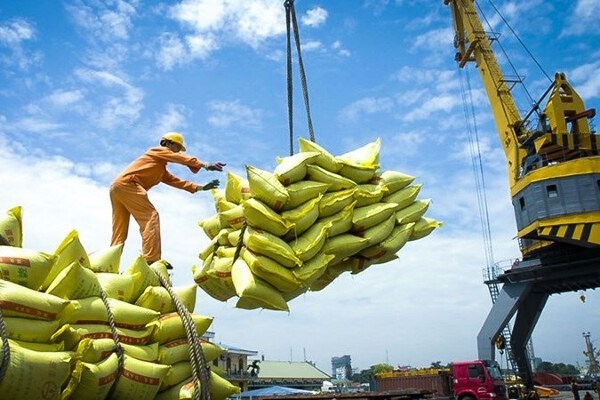 eu considered potential destination for vietnamese rice picture 1