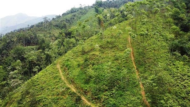 vietnam, wb enhance partnership in climate change response for green growth picture 1