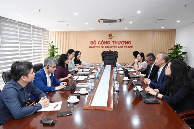 vietnam hopes for stronger cooperation with wb in sustainable clean energy picture 1