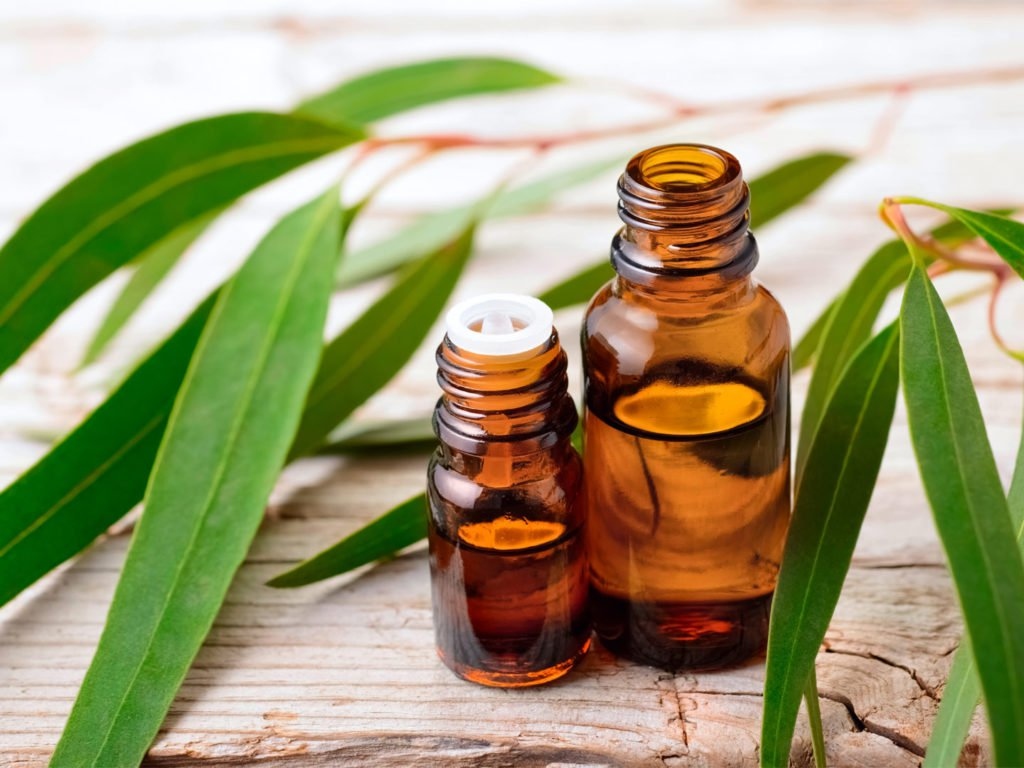 5 loại thảo mộc chống viêm tốt cho chứng đau đầu gối
