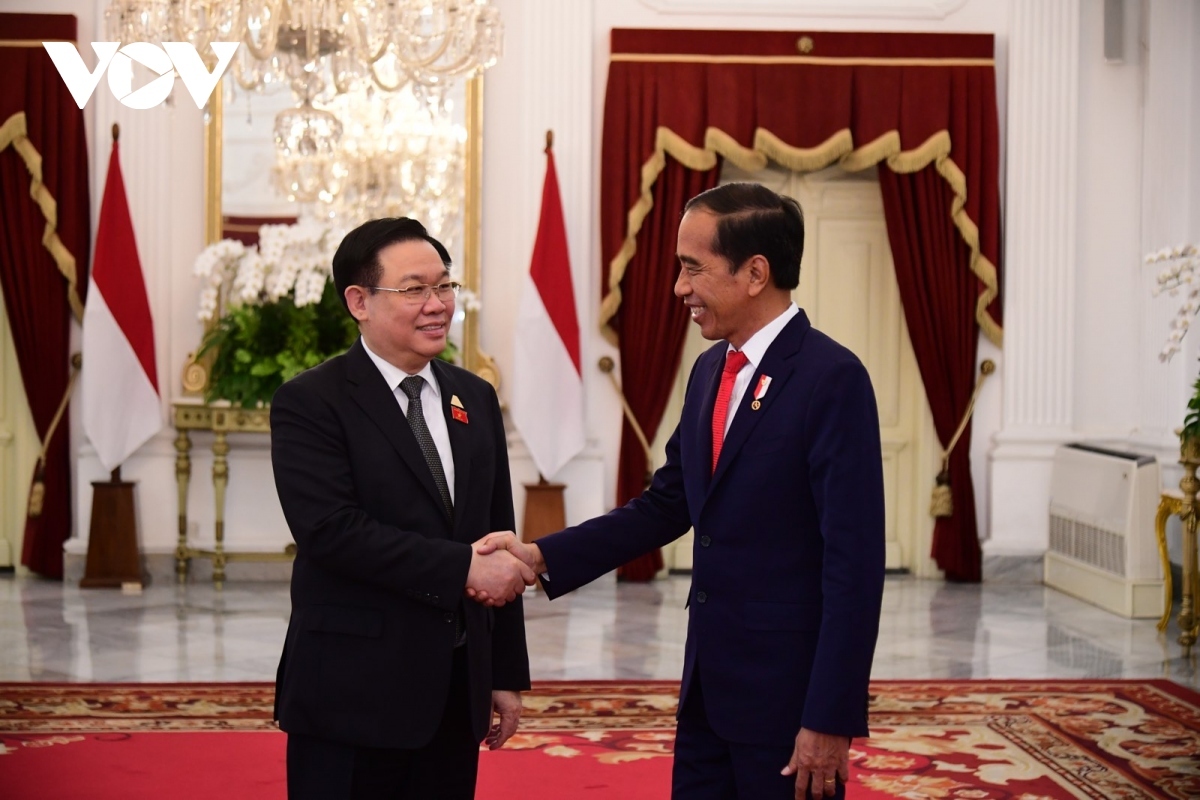 vietnam greatly values strategic partnership with indonesia picture 1