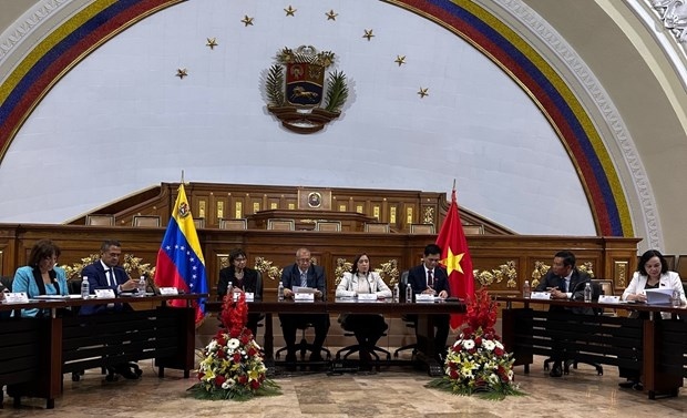 vietnam, venezuela enhance cooperation in ethnic affairs picture 1