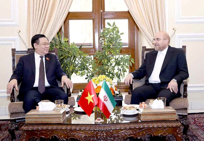 vietnam to forge relations with iran an important partner in middle east picture 1