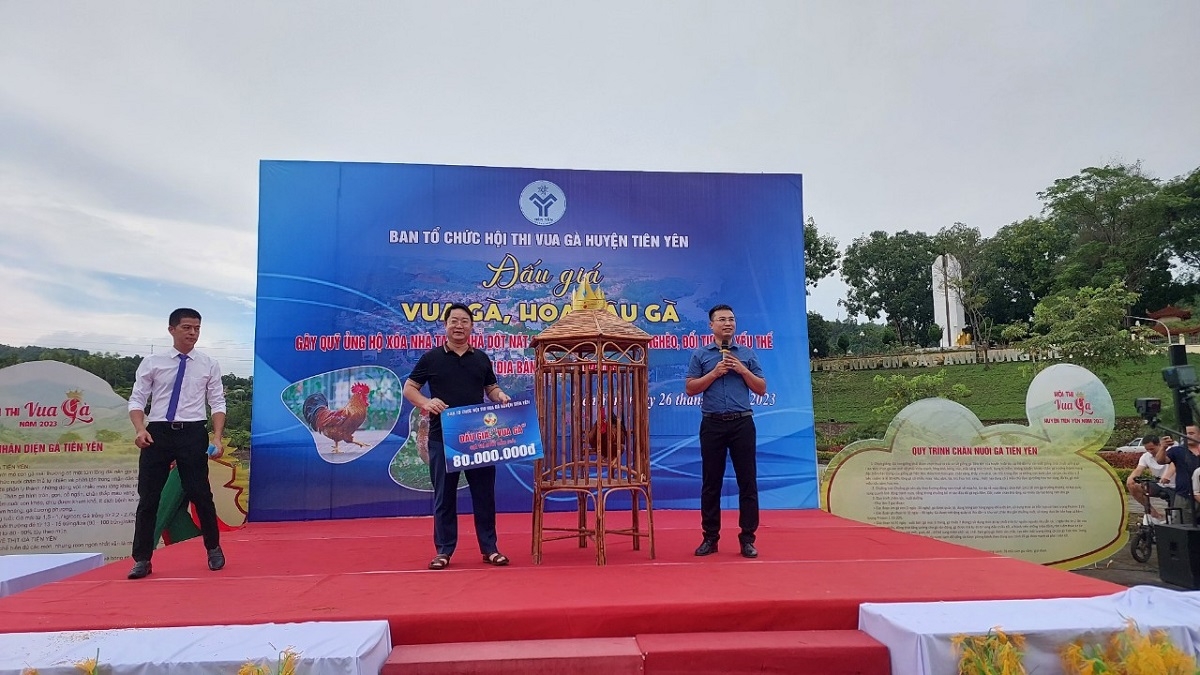 Đấu giá "hoa hậu gà", "vua gà" ủng hộ quỹ vì người nghèo