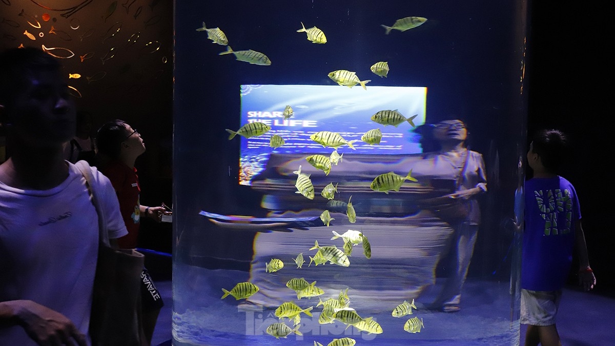 largest indoor aquarium in hanoi opens picture 10