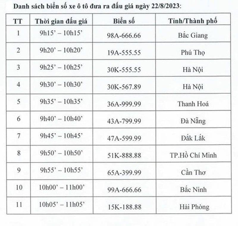 Dau gia bien so ngu quy bac ninh 99a-666.66 vao ngay 22 8 hinh anh 1