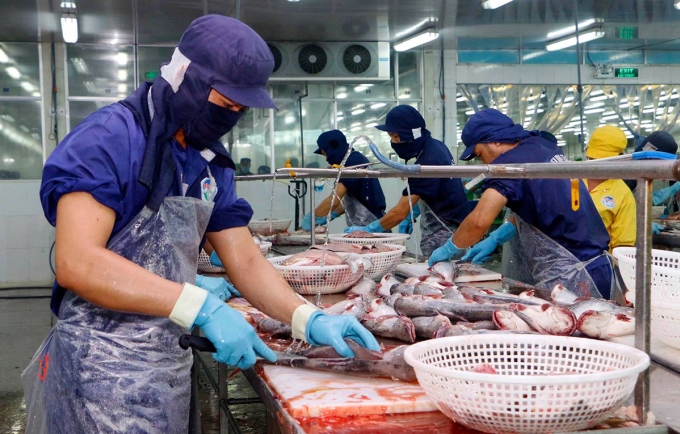 tra fish exports likely to hit us 1.77 billion this year picture 1
