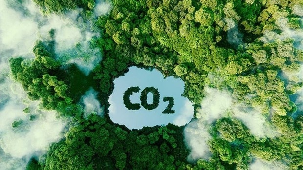 vietnam pushes for carbon market development picture 1