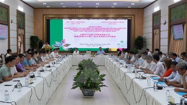 dong thap, china s guangxi eye stronger trade ties picture 1