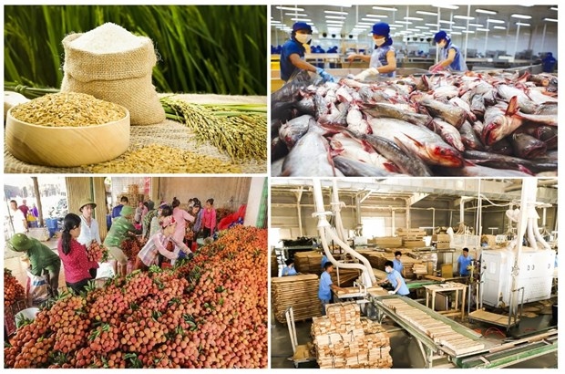 agro-forestry-aquatic product exports post trade surplus of nearly us 6 billion picture 1