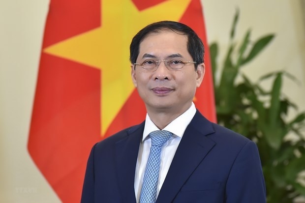 vietnam determined to build modern, comprehensive, strong diplomatic sector picture 1