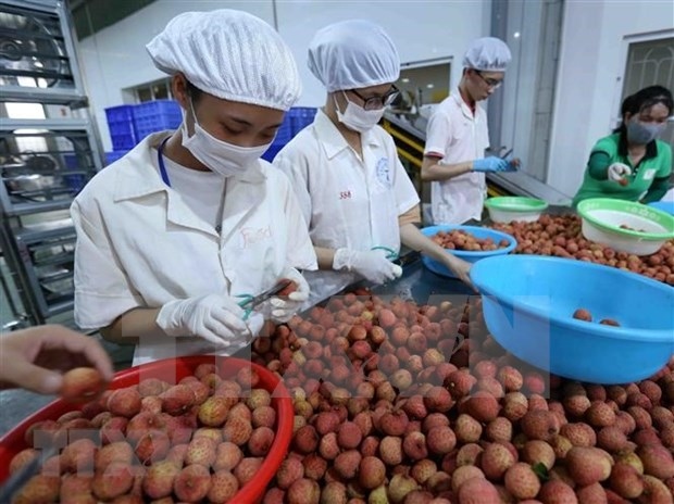austria a promising market for vietnamese fruits experts picture 1