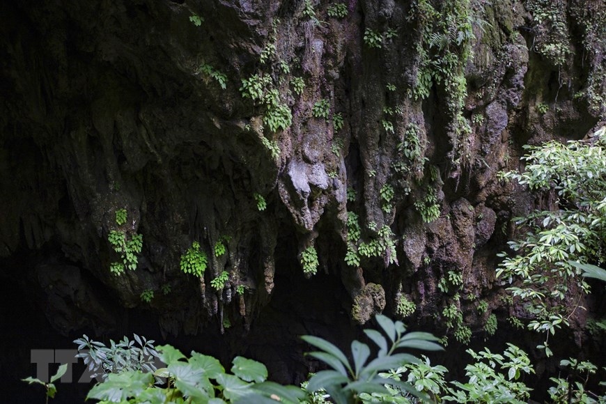 Khám phá vẻ đẹp hoang sơ của hang Sưng ở Hòa Bình - Ảnh 7.