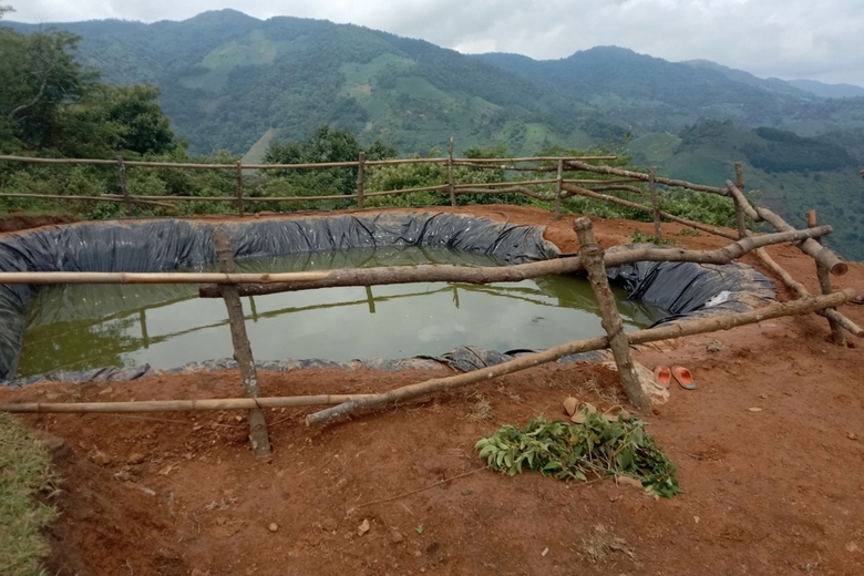 3 trẻ nhỏ Lào Cai đuối nước trong lúc đi chăn trâu