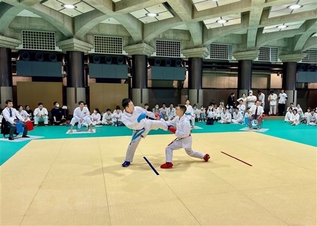 karate tournament organised for overseas vietnamese in japan picture 1