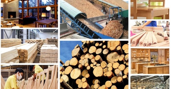 vietnam, us accelerate implementation of logging control agreement picture 1