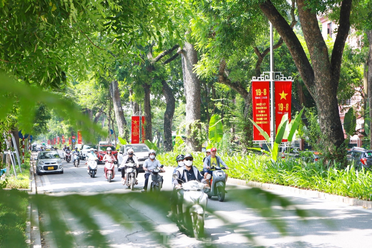 hanoi streets colourful ahead of celebrations for national day picture 6