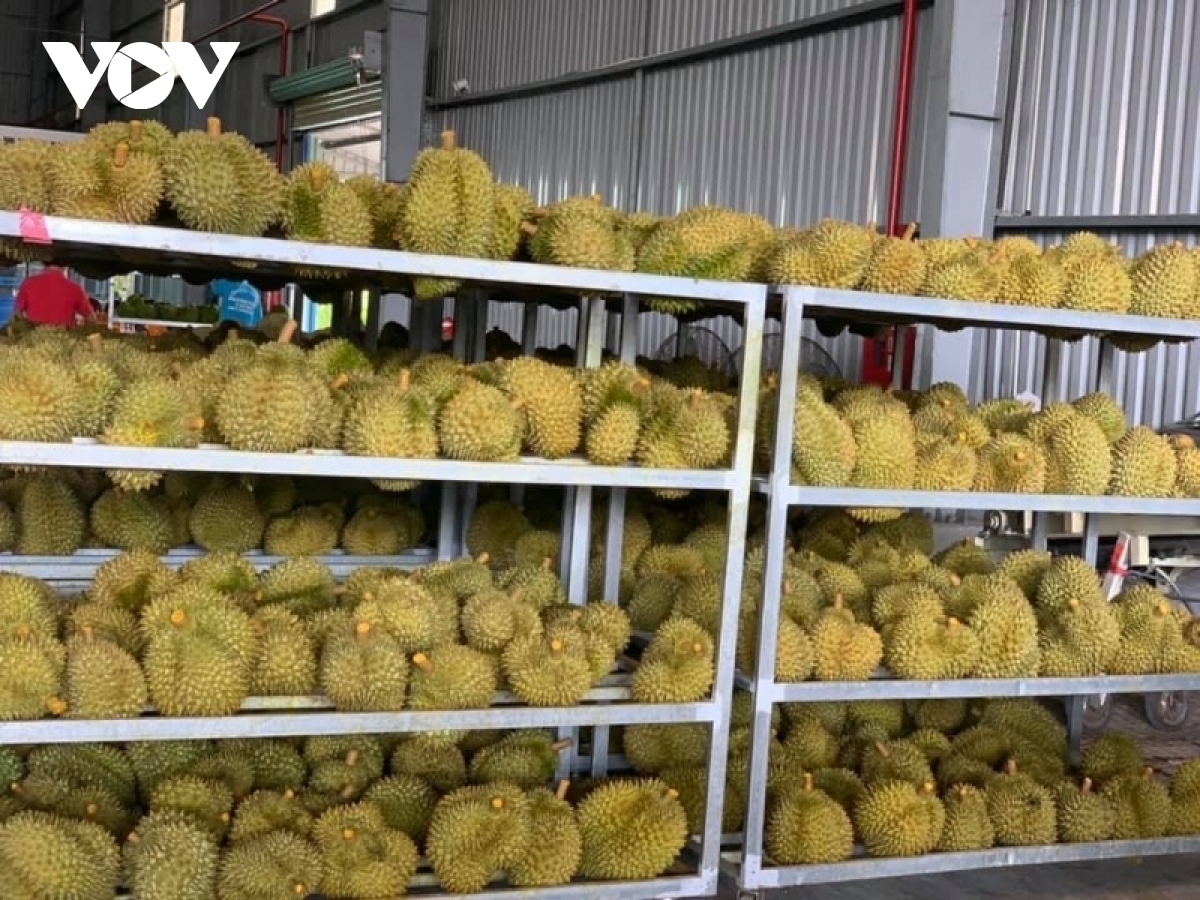 Fruit and vegetable exports hit record high over eight-month period