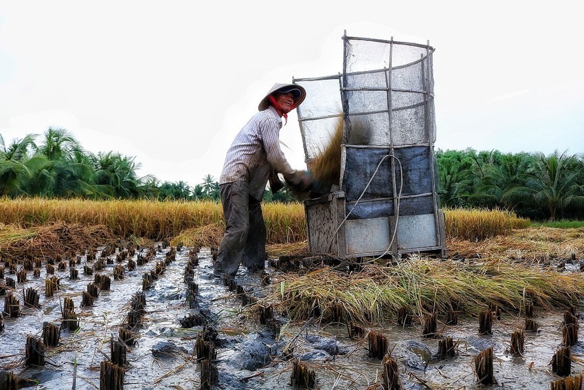 Ho Chi Minh City sends farmers abroad for professional training