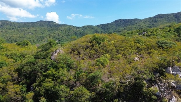 diverse ecosystems turn nui chua world biosphere reserve into tourist attraction picture 1