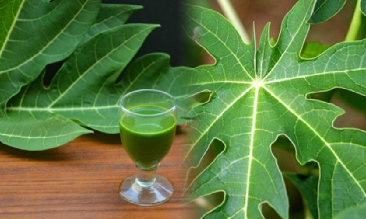 nuoc ep la du du giup giam luong duong trong mau hinh anh 3