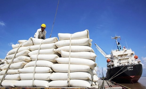 prices of vietnam s exported rice highest in the world picture 1