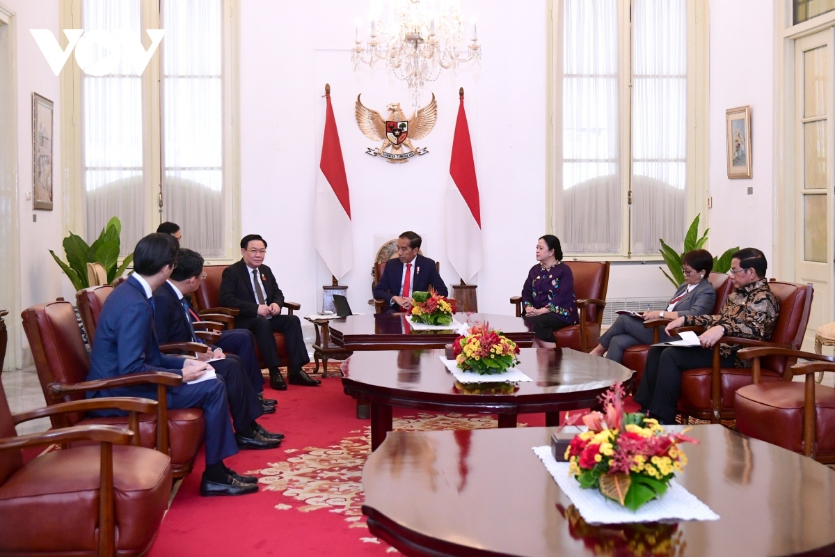vietnam greatly values strategic partnership with indonesia picture 2