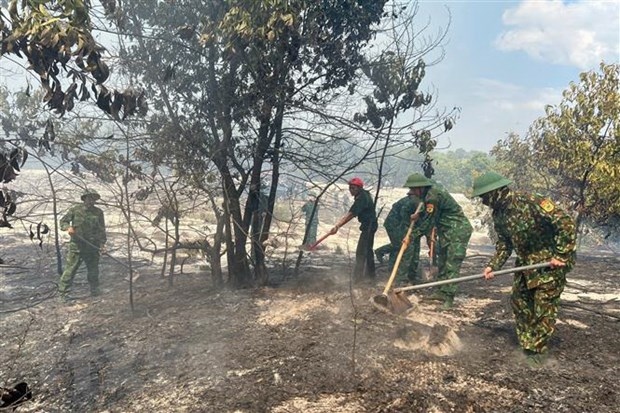 thua thien-hue chay rung phong ho, khoang 7,5ha bi thiet hai hinh anh 1